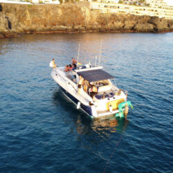 Motorboat Sunseeker 42 Mustique Tenerife 13