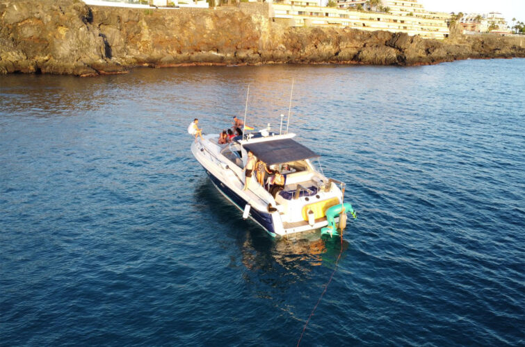 Motorboat Sunseeker 42 Mustique Tenerife 13