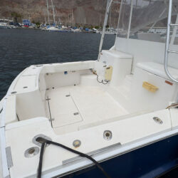 Fishing boat Luhrs 31 Tenerife 2