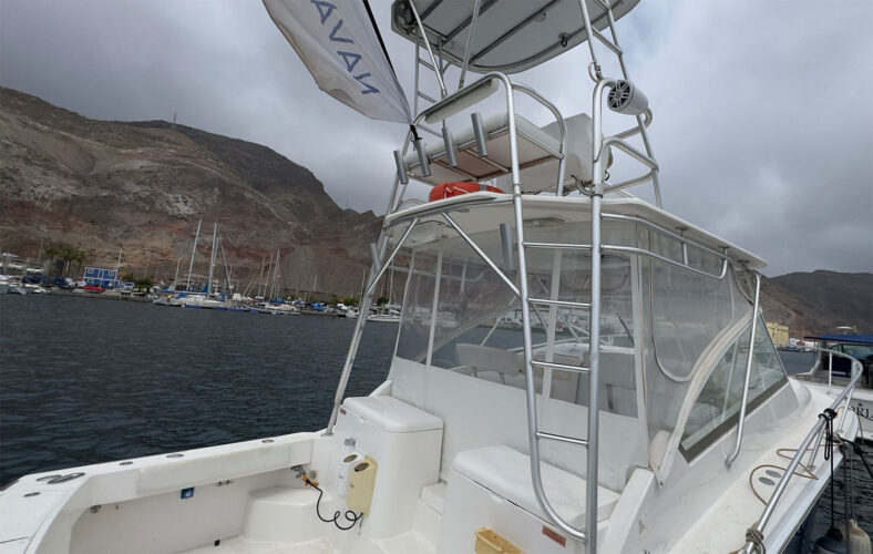 Fishing boat Luhrs 31 Tenerife 4