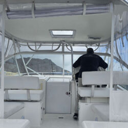 Fishing boat Luhrs 31 Tenerife 5