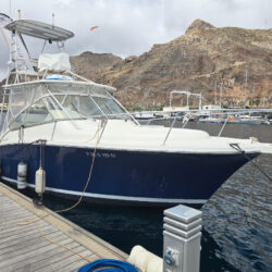 Fishing boat Luhrs 31 Tenerife 6