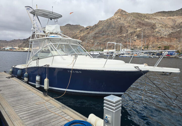 Fishing boat Luhrs 31 Tenerife 6