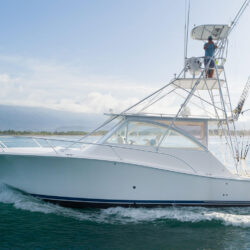 boat Luhrs 41 Tenerife 1