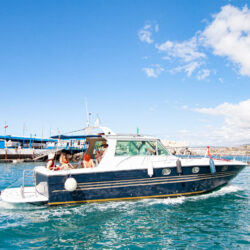 Boat White dreams Tenerife 10