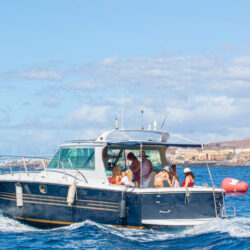 Boat White dreams Tenerife 11