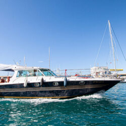 Boat White dreams Tenerife 12