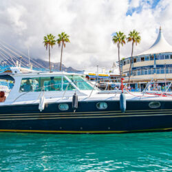 Boat White dreams Tenerife 13