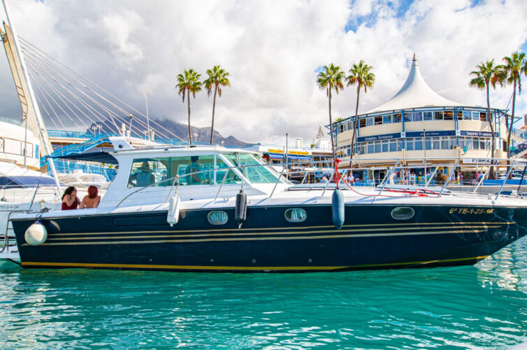 Boat White dreams Tenerife 13