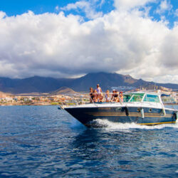 Boat White dreams Tenerife 14