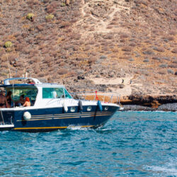 Boat White dreams Tenerife 3
