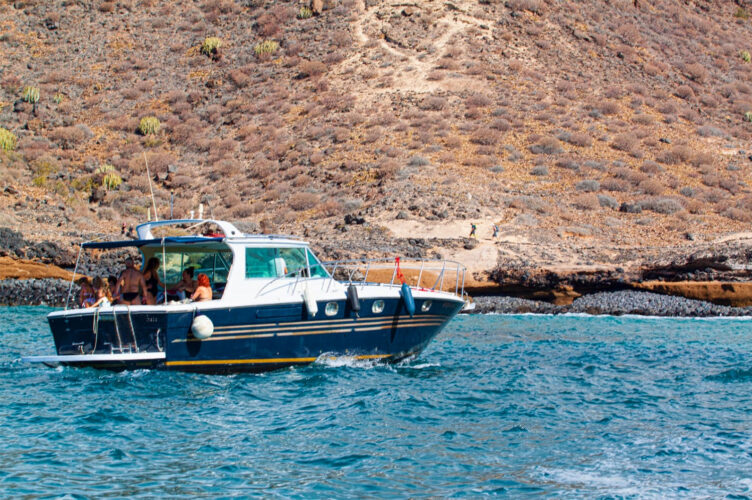 Boat White dreams Tenerife 3