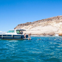 Boat White dreams Tenerife 4