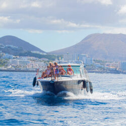 Boat White dreams Tenerife 5