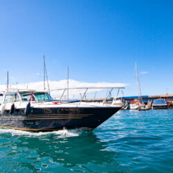 Boat White dreams Tenerife 6
