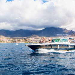 Boat White dreams Tenerife 8