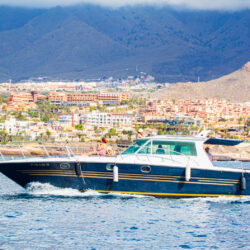 Boat White dreams Tenerife 9