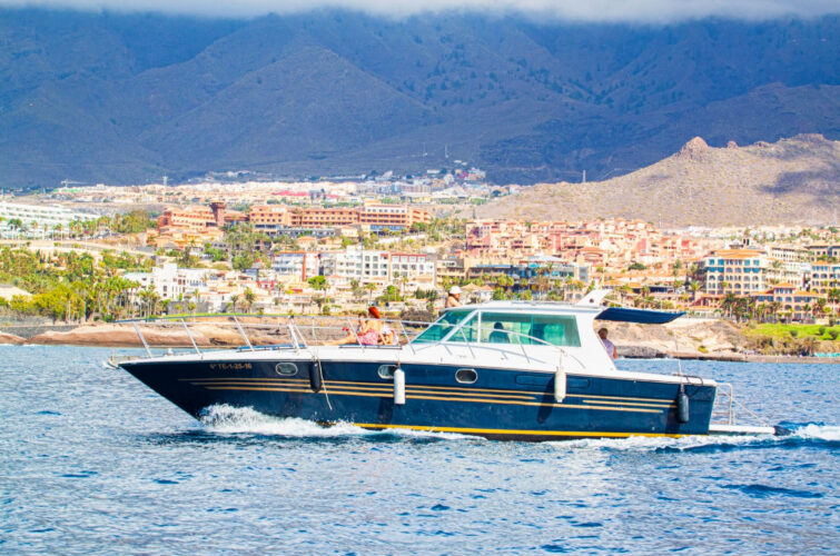 Boat White dreams Tenerife 9