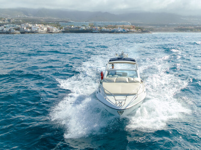 Yacht Sealine SC29 Tenerife 26