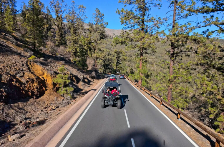 buggy tour tenerife 17