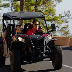 buggy tour tenerife 22