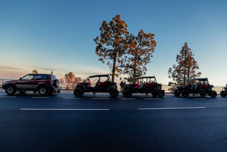 buggy tour tenerife 23