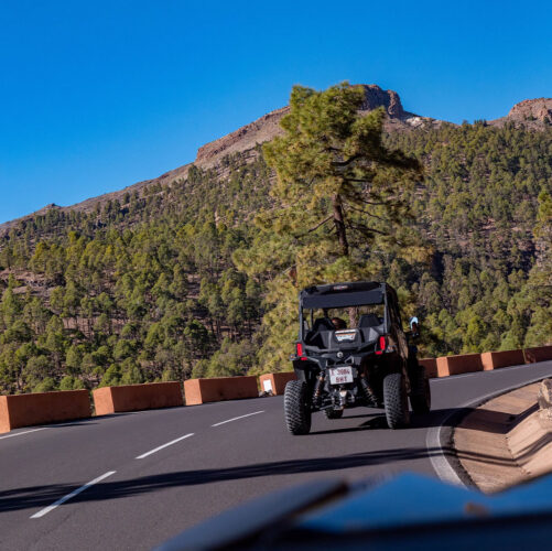 buggy tour tenerife 4