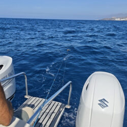Motorboat Glacier Bay Island Runner 2670 Tenerife 7