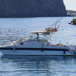Motorboat Glacier Bay Island Runner 2670 Tenerife 9