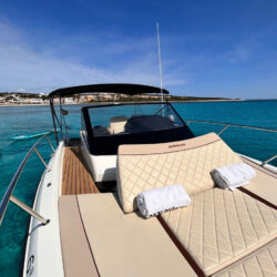 Motorboat Quicksilver 875 Tenerife 5